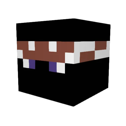 BlockyKiwi Minecraft avatar head, 3D render