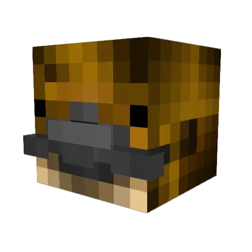 Blocky_23 Minecraft avatar head, 3D render