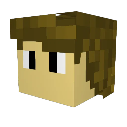 Blockypuddle Minecraft avatar head, 3D render