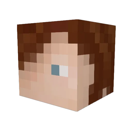 Blodofferion Minecraft avatar head, 3D render