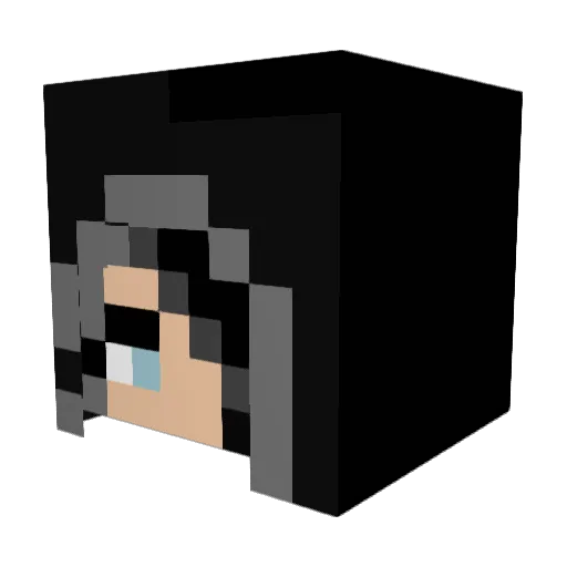 Bloedhoofd123 Minecraft avatar head, 3D render