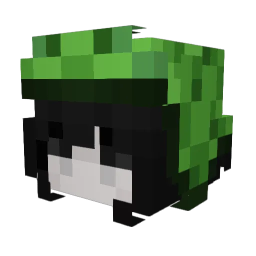 BloemKoala Minecraft avatar head, 3D render