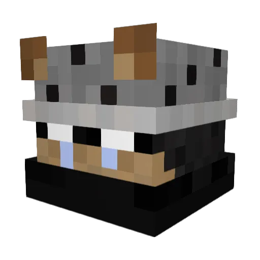 Blogna Minecraft avatar head, 3D render