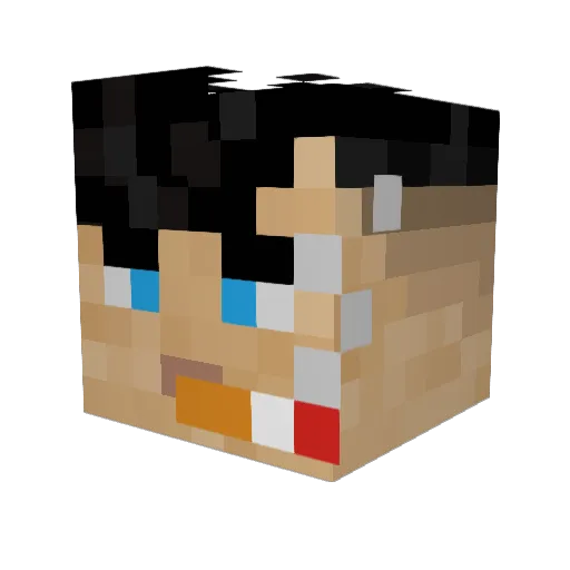 Blokkaaja Minecraft avatar head, 3D render