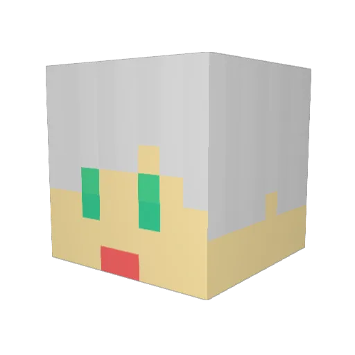 Blokus03 Minecraft avatar head, 3D render