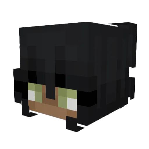 BlomikPL Minecraft avatar head, 3D render