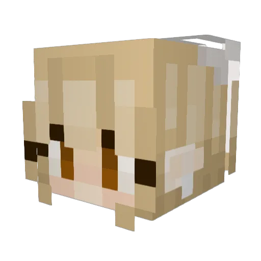 Blonde_Bunny07 Minecraft avatar head, 3D render