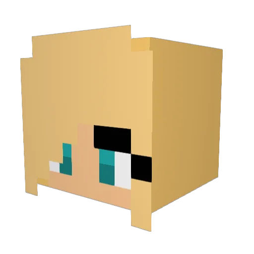 Blondi007 Minecraft avatar head, 3D render