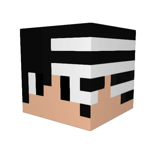 BlooBeanz Minecraft avatar head, 3D render