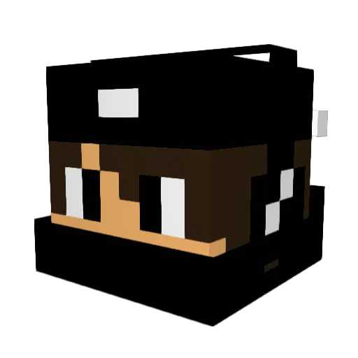Bloo__Bird Minecraft avatar head, 3D render