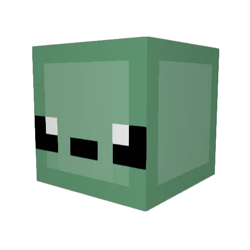 BloodBro23 Minecraft avatar head, 3D render