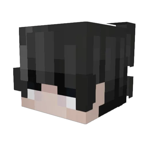 BloodMerchant5 Minecraft avatar head, 3D render