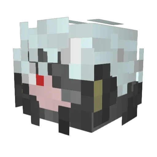BloodRaideN Minecraft avatar head, 3D render