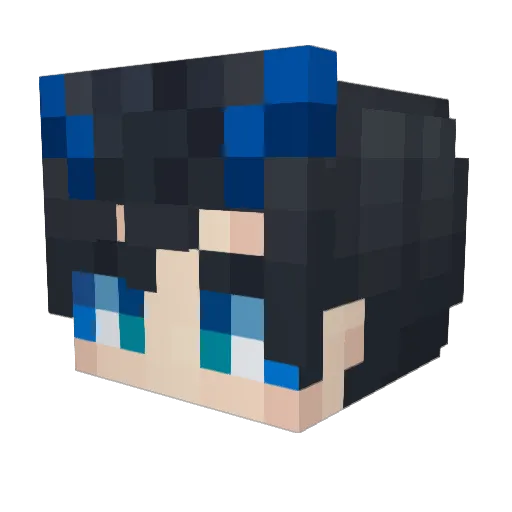 Bloodfallen233 Minecraft avatar head, 3D render