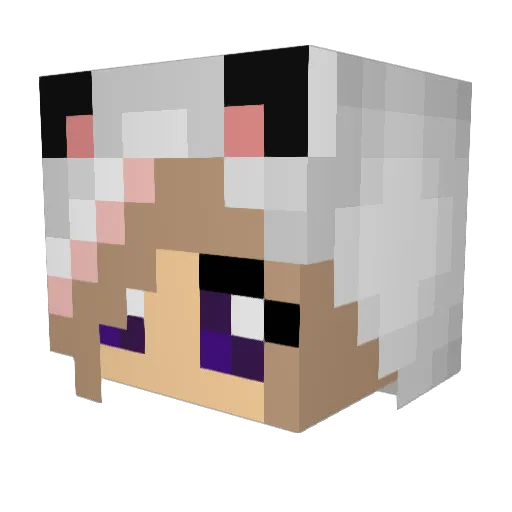 Bloodfang19 Minecraft avatar head, 3D render