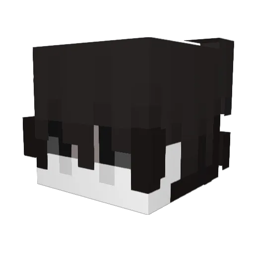 Bloodhy Minecraft avatar head, 3D render