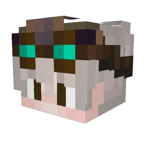 Bloodi_w Minecraft avatar head, 3D render