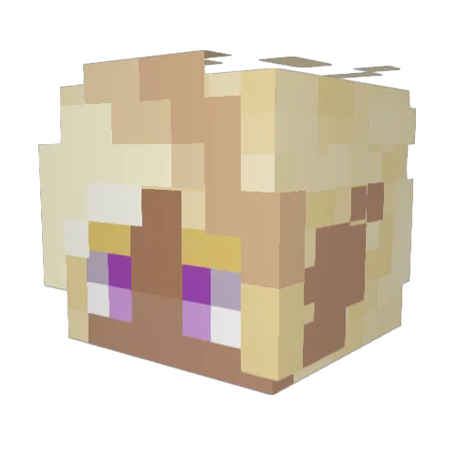 Bloodlust_Z Minecraft avatar head, 3D render