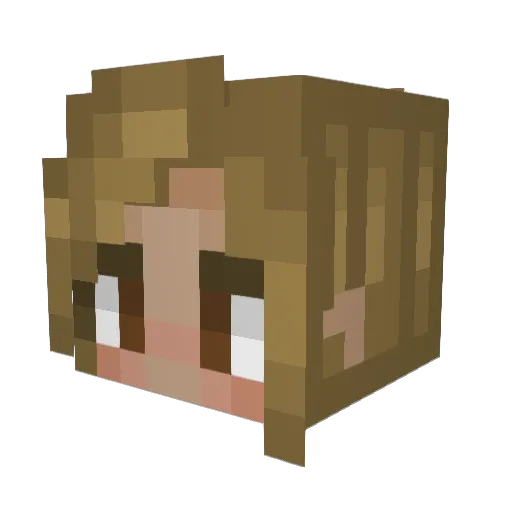 Bloodnight27116 Minecraft avatar head, 3D render