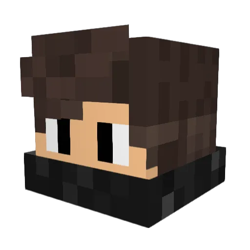BloodsNight49 Minecraft avatar head, 3D render