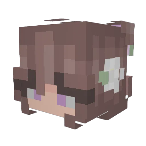 BloodshotBinks Minecraft avatar head, 3D render