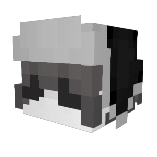 Bloodwizard13 Minecraft avatar head, 3D render