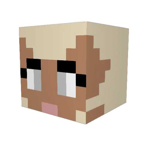 BloodyRoses55 Minecraft avatar head, 3D render