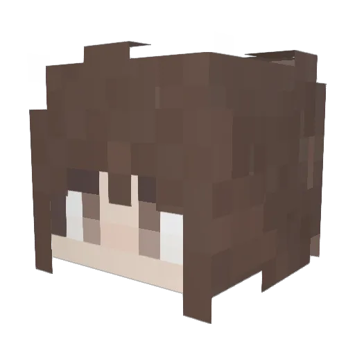 Bloody_Author Minecraft avatar head, 3D render