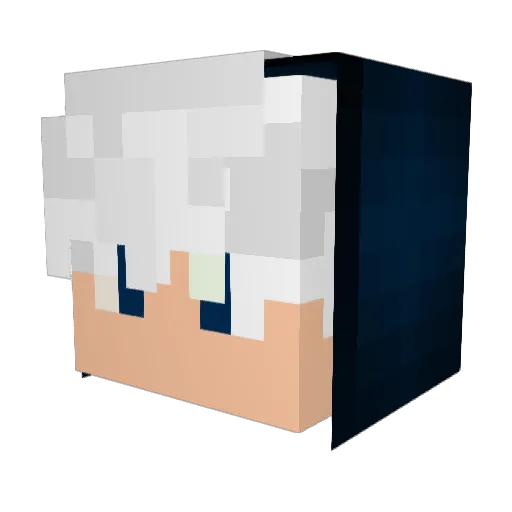 Bloody_whiskey Minecraft avatar head, 3D render