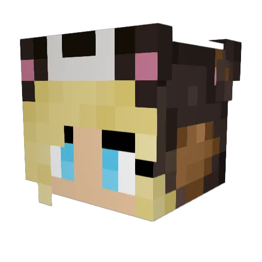 BloodypallYT Minecraft avatar head, 3D render