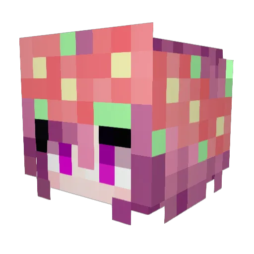 Bloom95350 Minecraft avatar head, 3D render