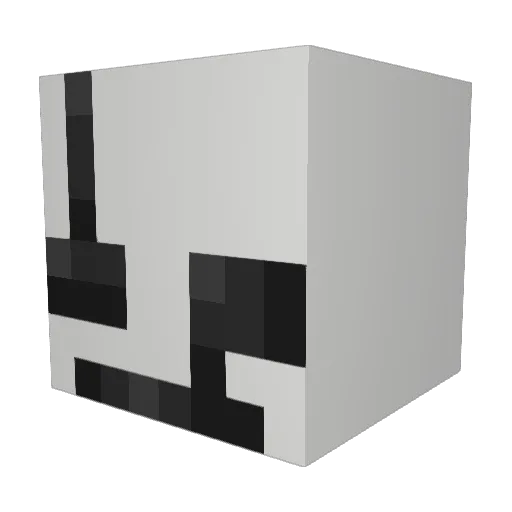 Bloom_55 Minecraft avatar head, 3D render