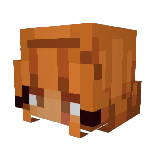Bloom_Hizen Minecraft avatar head, 3D render