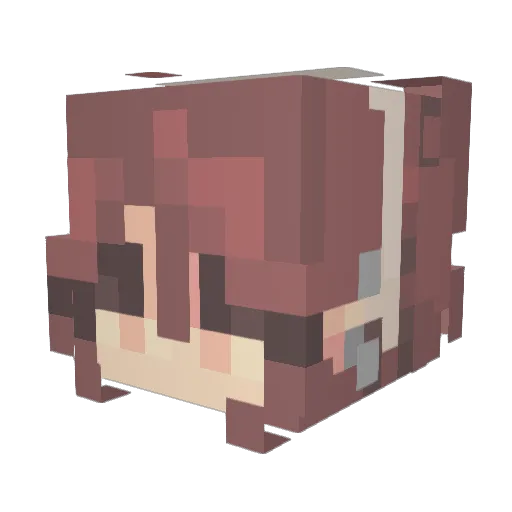 BloomingBeret22 Minecraft avatar head, 3D render