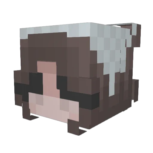 BloomingSofie Minecraft avatar head, 3D render