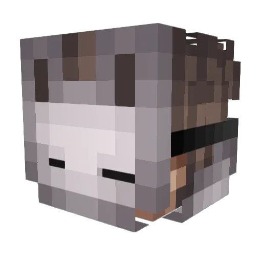 Bloomlingz Minecraft avatar head, 3D render