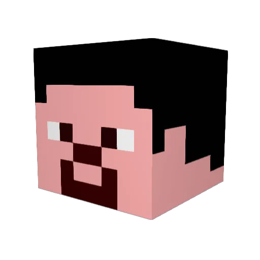 Bloomsical Minecraft avatar head, 3D render