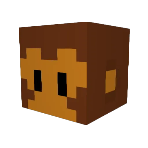 BloonPopper16 Minecraft avatar head, 3D render