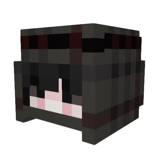 Bloop12341 Minecraft avatar head, 3D render