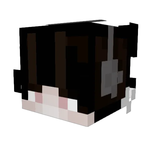 BloopVorp_ Minecraft avatar head, 3D render