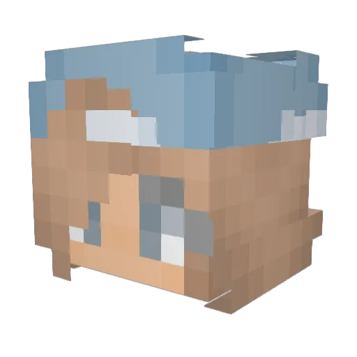 Blooplin Minecraft avatar head, 3D render