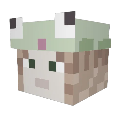 Bloopxox Minecraft avatar head, 3D render