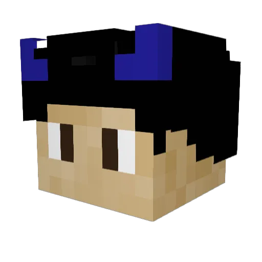 Blop_oi Minecraft avatar head, 3D render