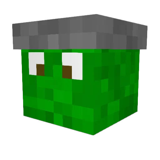 BloppyTurtle Minecraft avatar head, 3D render