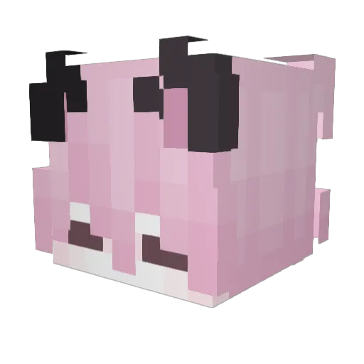Blorry Minecraft avatar head, 3D render