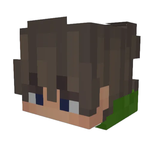 Bloshx Minecraft avatar head, 3D render
