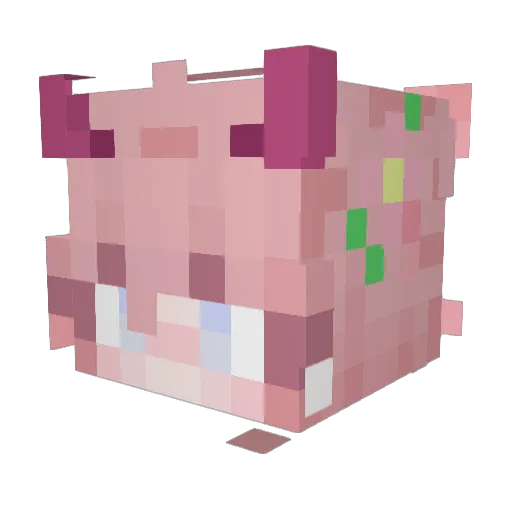 BlossomBlank Minecraft avatar head, 3D render