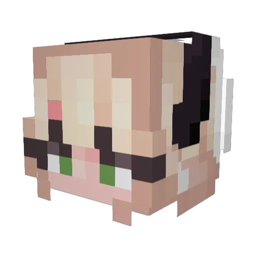 BlossomCries Minecraft avatar head, 3D render