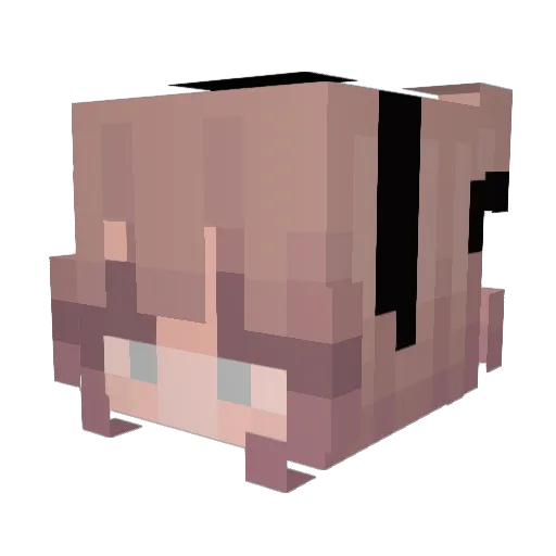 BlossomRed Minecraft avatar head, 3D render