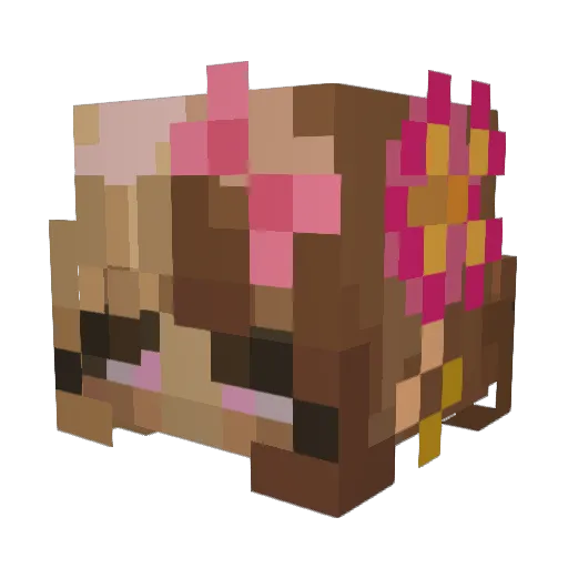 BlossomRose16 Minecraft avatar head, 3D render